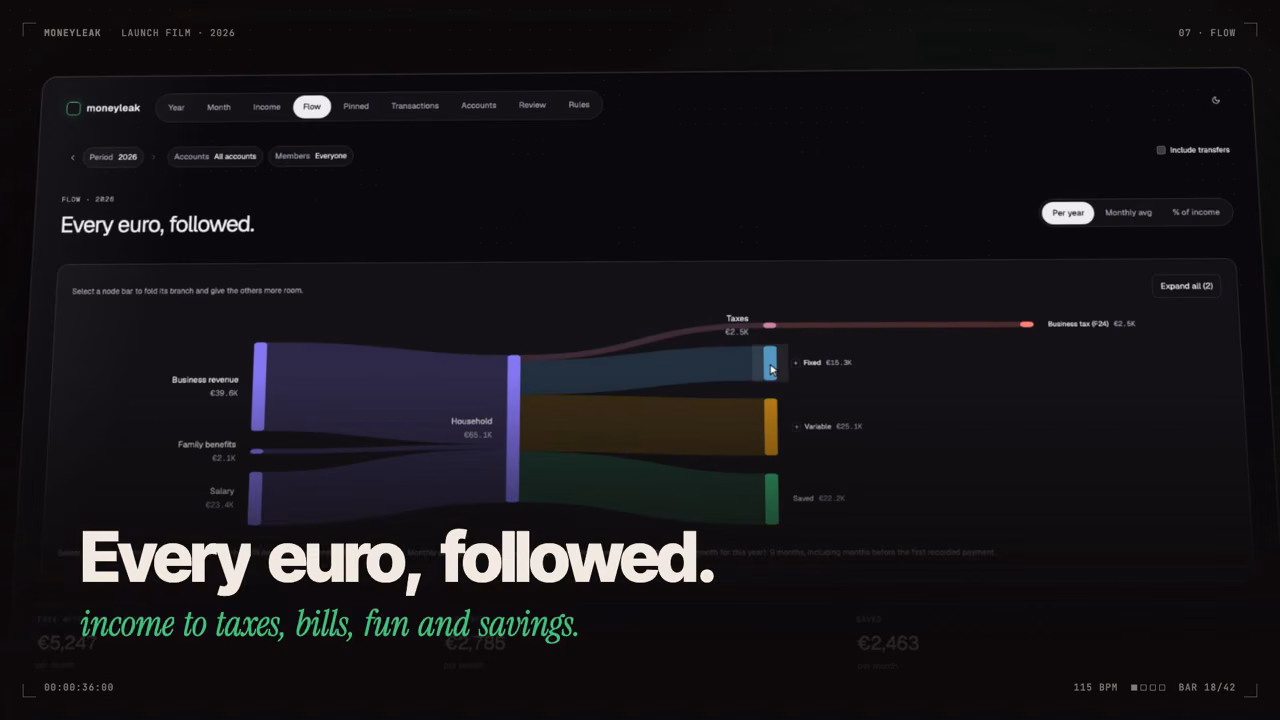 Still from the MoneyLeak launch film showing the flow view