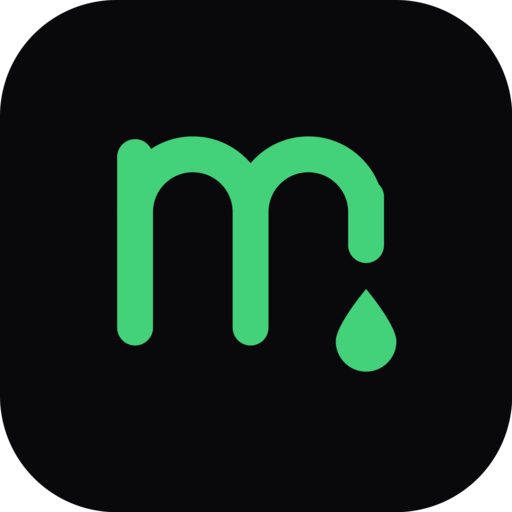 MoneyLeak app icon